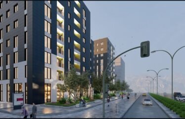 APARTAMENT 1+1 NE SHITJE, TIRANA ENTRY.