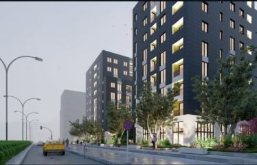 APARTAMENT 1+1 NE SHITJE, TIRANA ENTRY.