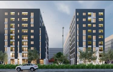 APARTAMENT 1+1 NE SHITJE, TIRANA ENTRY.