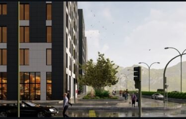 APARTAMENT 1+1 NE SHITJE, TIRANA ENTRY.