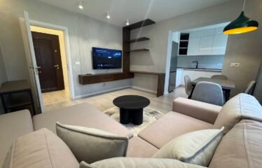 APARTAMENT 1+1 NE SHITJE, SELITE.