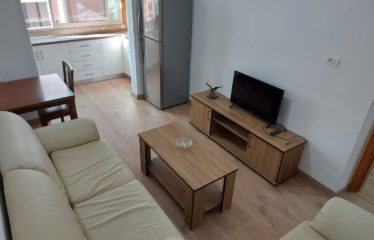 Shitet apartament 2+1, Mine Peza