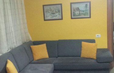 Apartament 1+1 me qera, prane UET