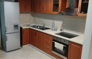 Apartament 2+1 me qera, Pazari Ri