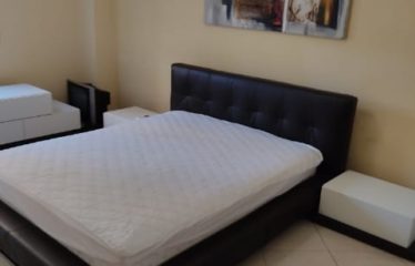 Apartament 2+1 me qera, Pazari Ri