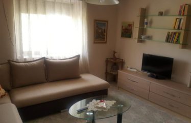 Apartament 1+1 me qera, Rruga e Elbasanit