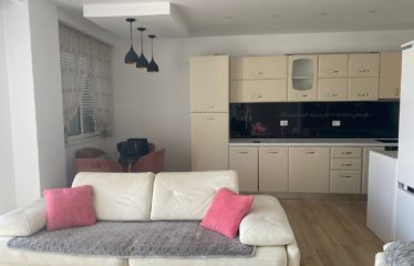 Apartament 2+1 me qera, Liqeni Thate