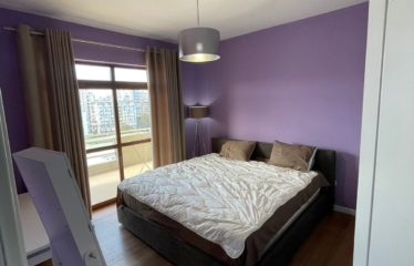 Apartament modern 1+1 me qera, Ish-Parku