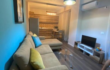 Apartament 1+1 me qera, Kompleksi Delijorgji