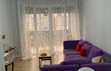 Apartament 2+1+parkim me qera, Kopshti Zoologjik