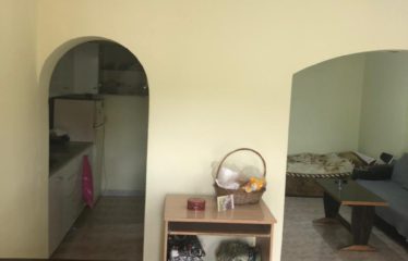 Shitet apartament 2+1, Mine Peza